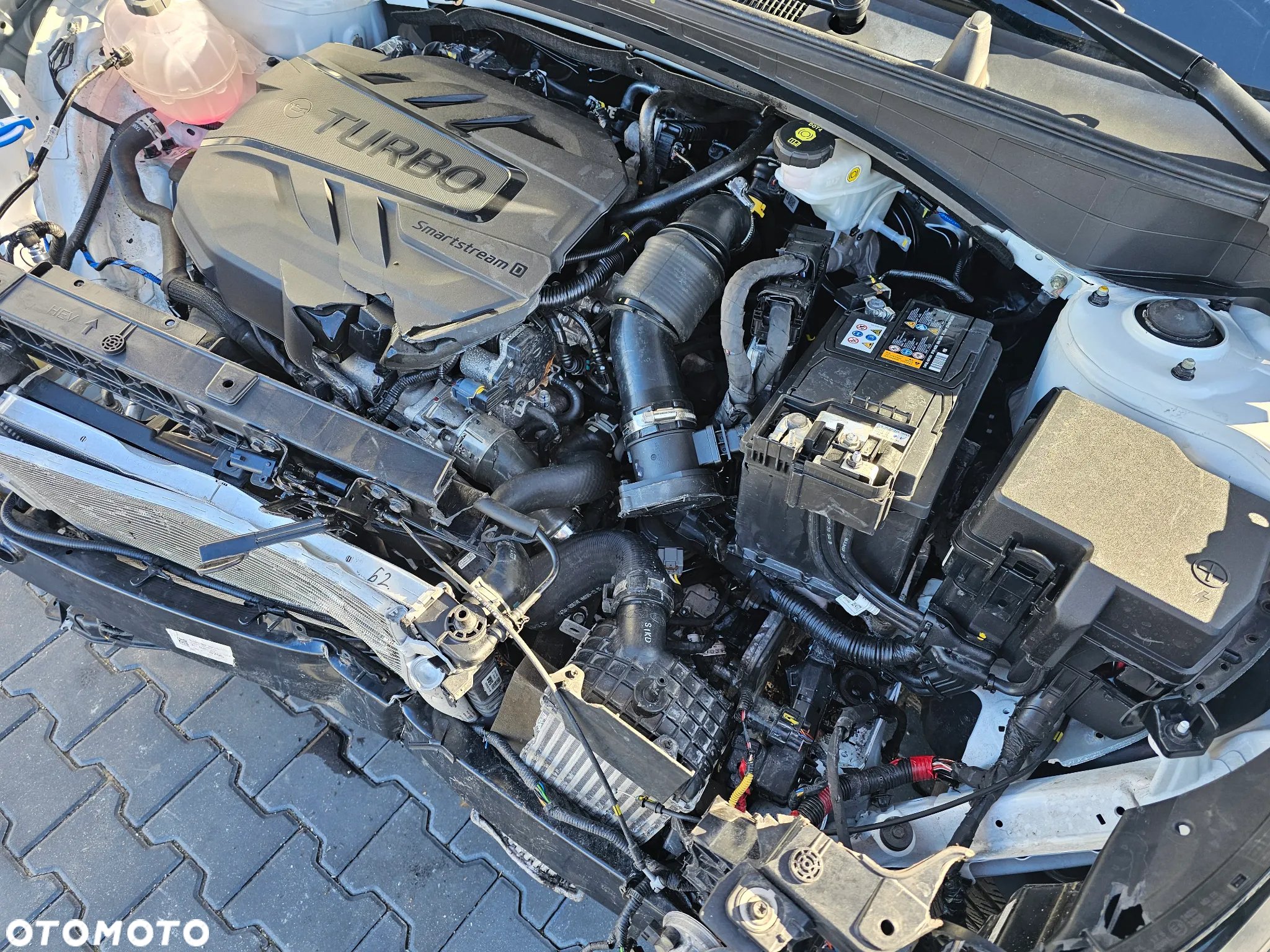 Kia Sportage - 20