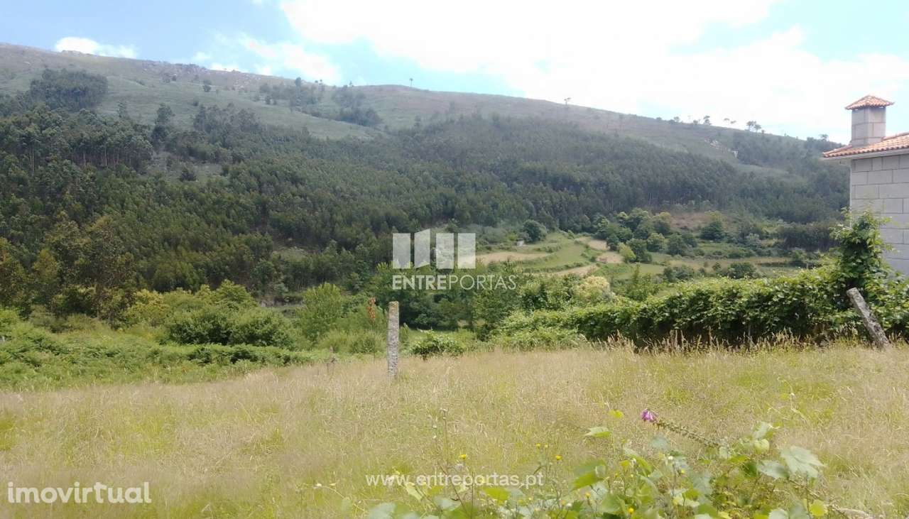 Venda Terreno, Santiago de Piães, Cinfães - Grande imagem: 3/40