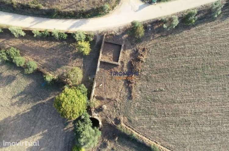 Terreno com Ruína - Silves - Projeto de Empreendimento Rural - Grande imagem: 2/6