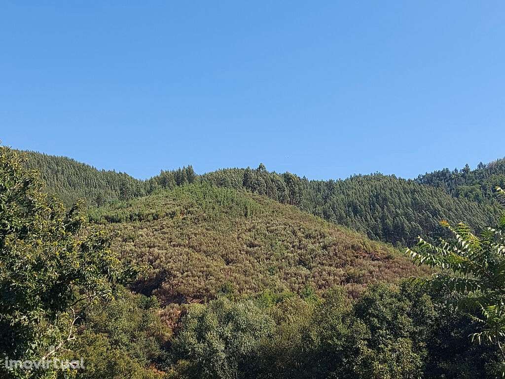 Venda Terreno - Grande imagem: 2/5