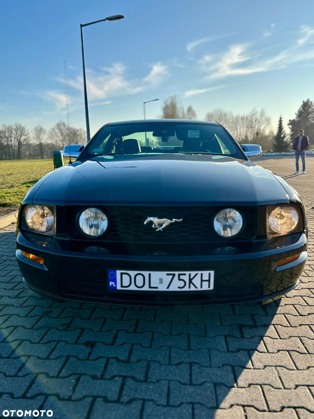 Ford Mustang - 7
