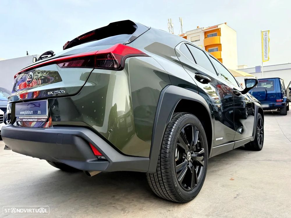 Lexus UX 250h Special Edition (LCA) - 45