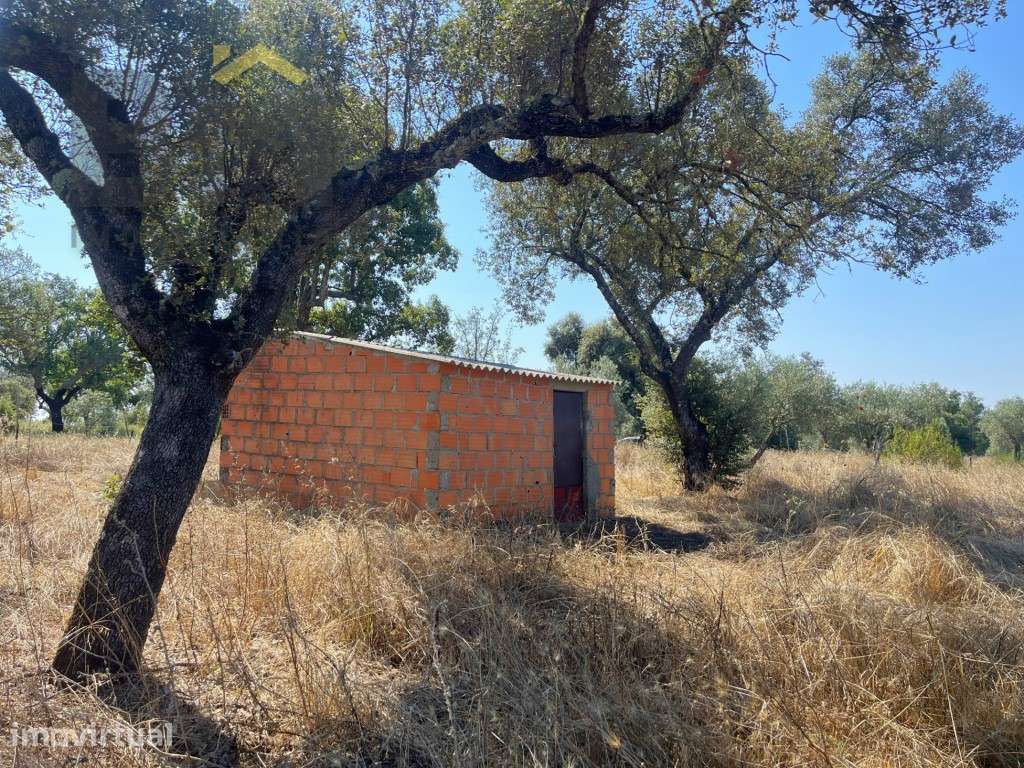 Terreno off-grid com 6500m2 em Toulões, Idanha-a-Nova - Grande imagem: 5/18