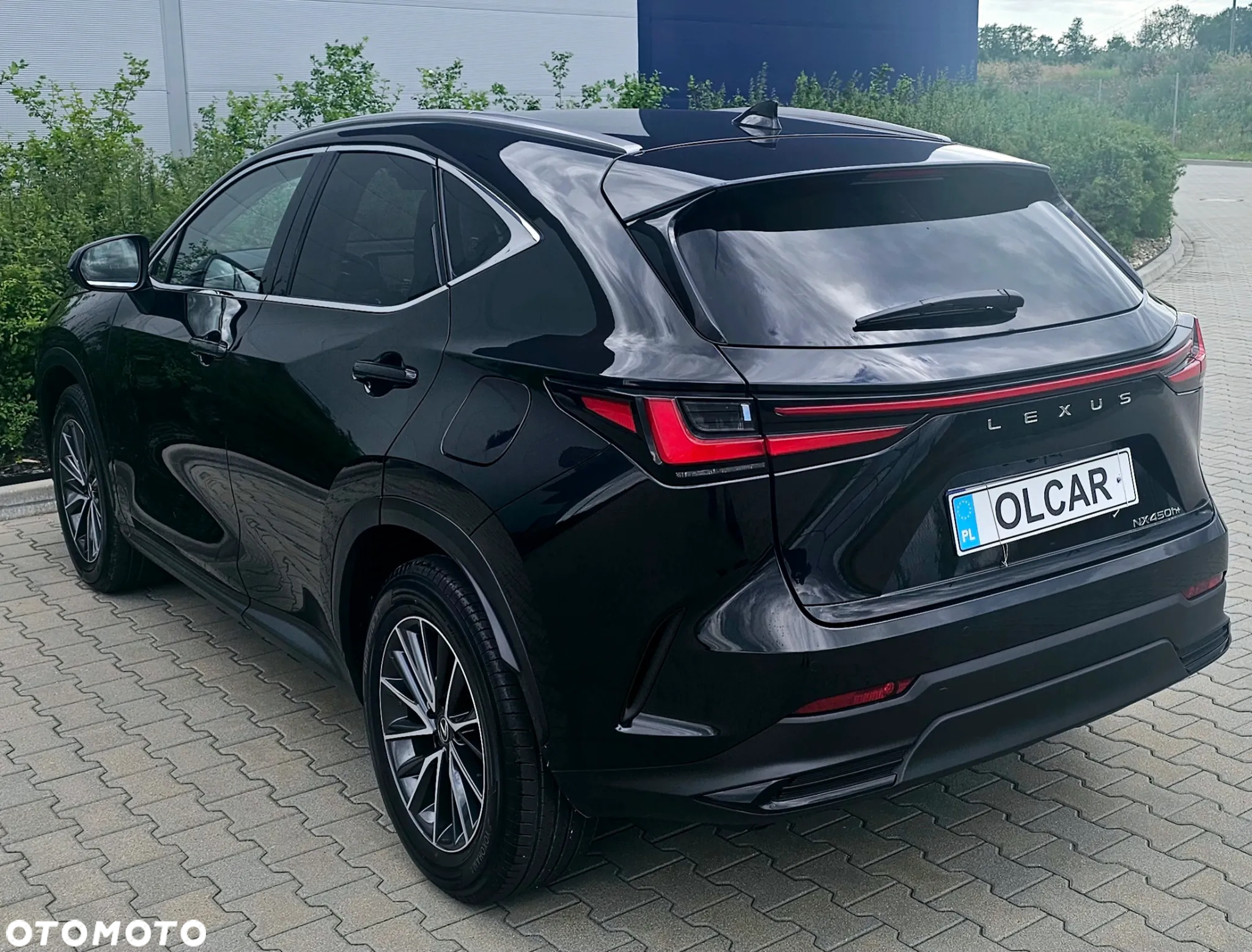 Lexus NX 450h+ Overtrail AWD - 6
