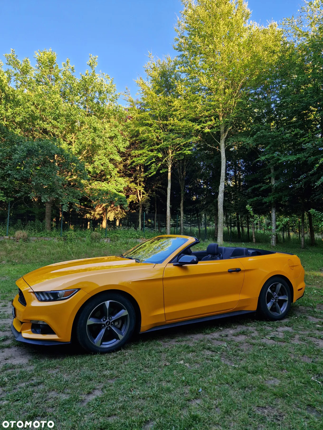 Ford Mustang 3.7 V6 - 8