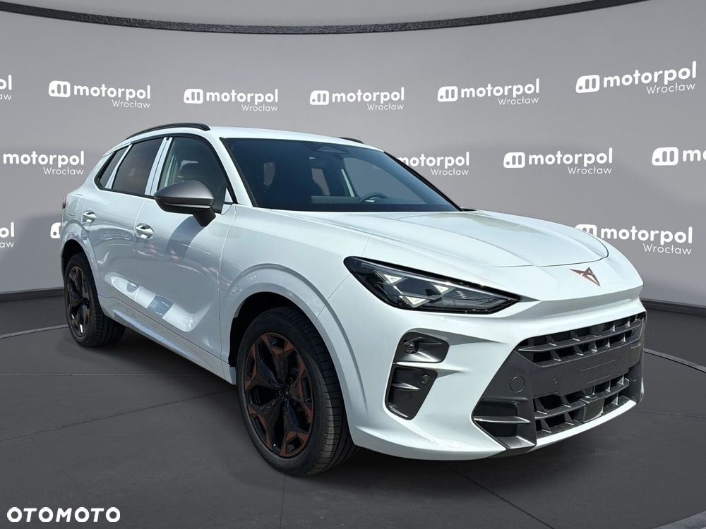 Cupra Terramar - 12