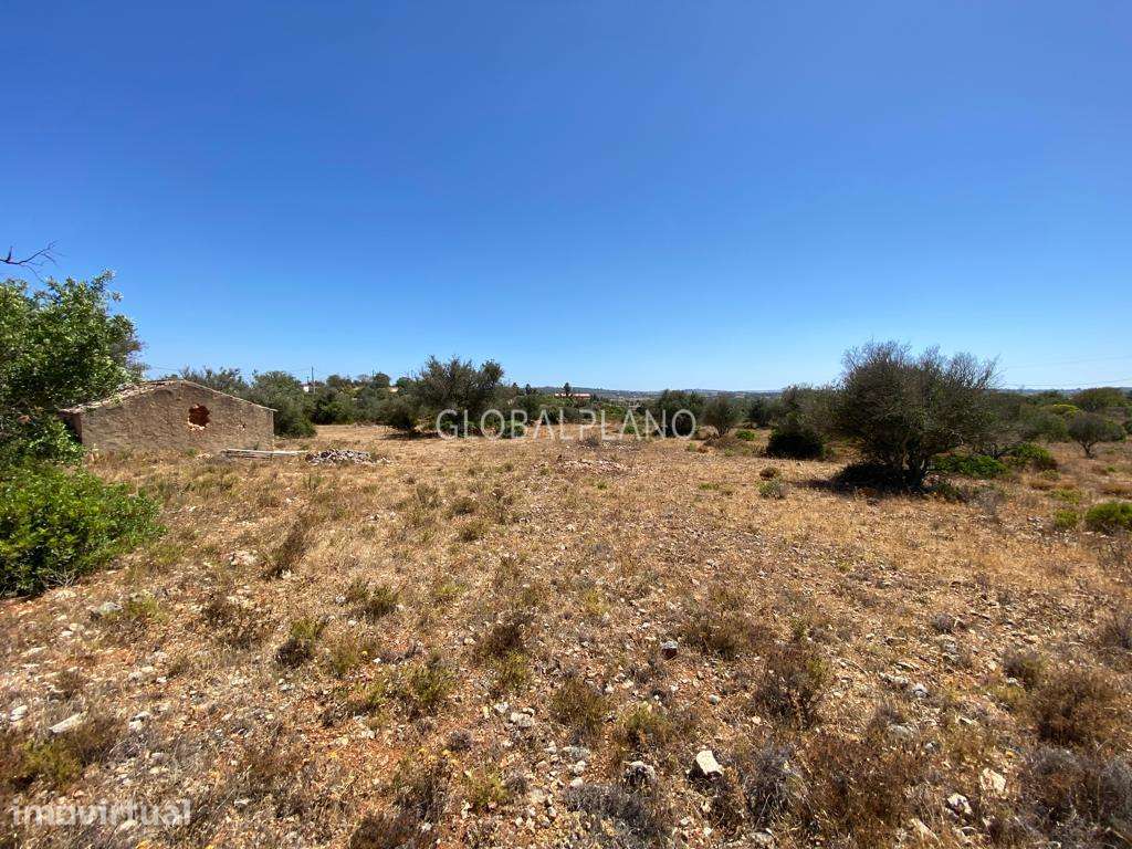 Fantástico terreno rural com viabilidade de construção - Grande imagem: 4/8
