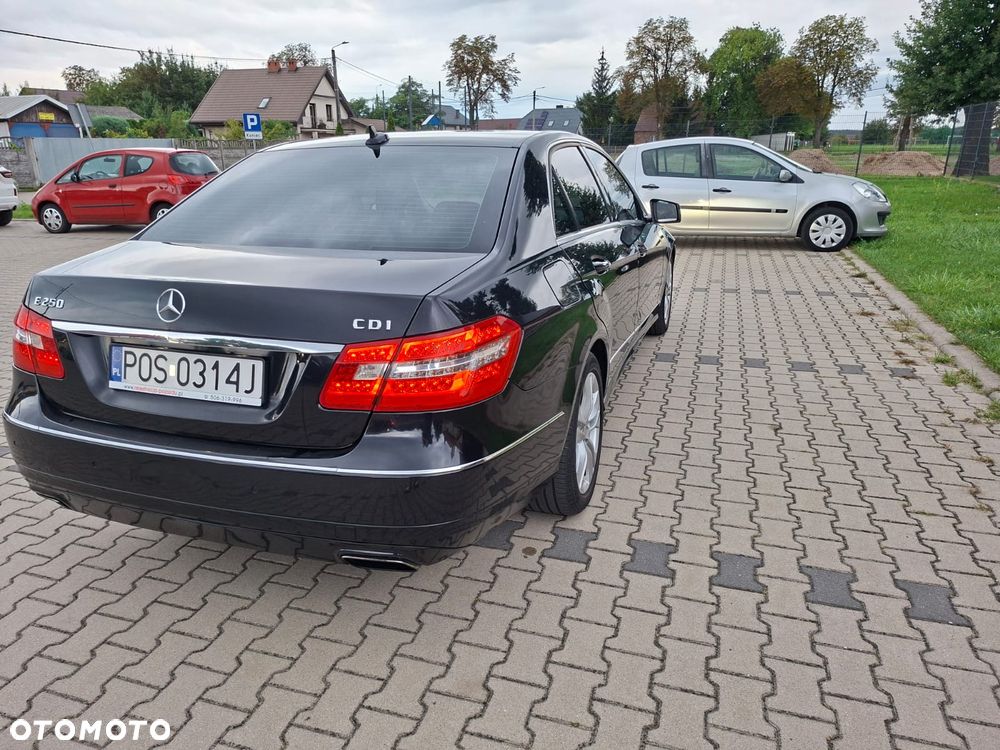 Mercedes-Benz Klasa E 220 CDI BlueEff Elegance - 14