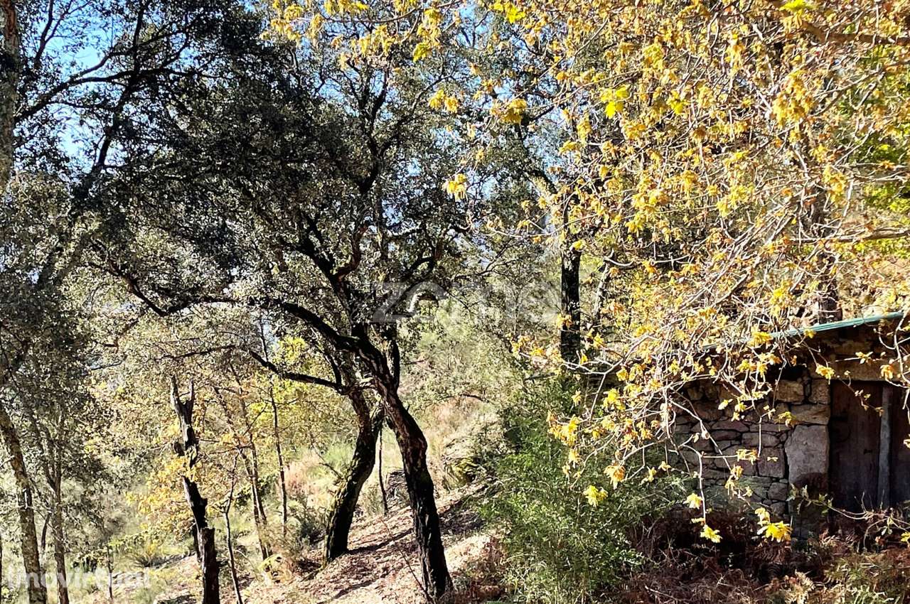 Terreno rústico em S. Jorge Arcos de Valdevez - Grande imagem: 3/13