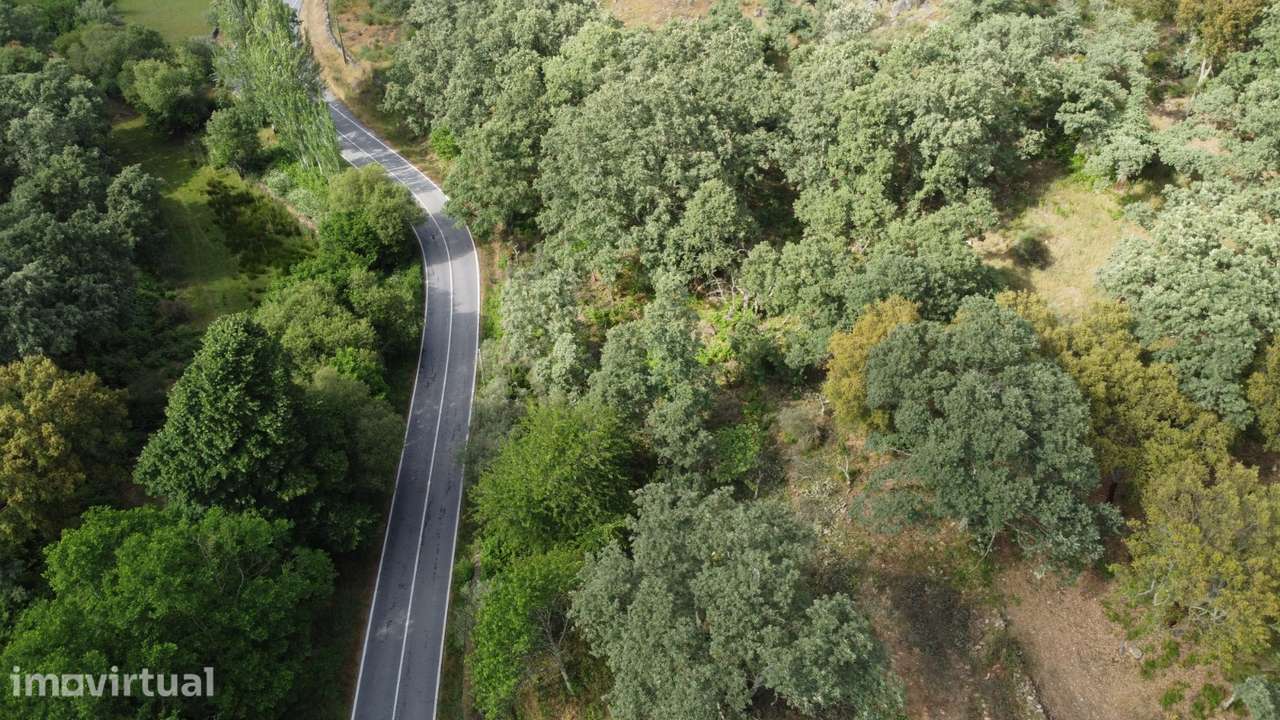 Marvão - Moradia Reconstruir - Lote 2878 m2 - Grande imagem: 2/22