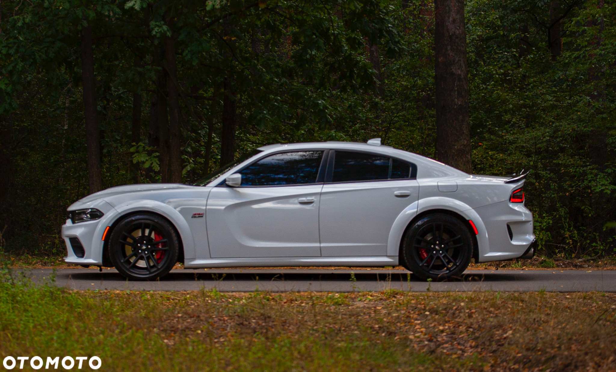 Dodge Charger 6.4 Scat Pack Widebody - 9