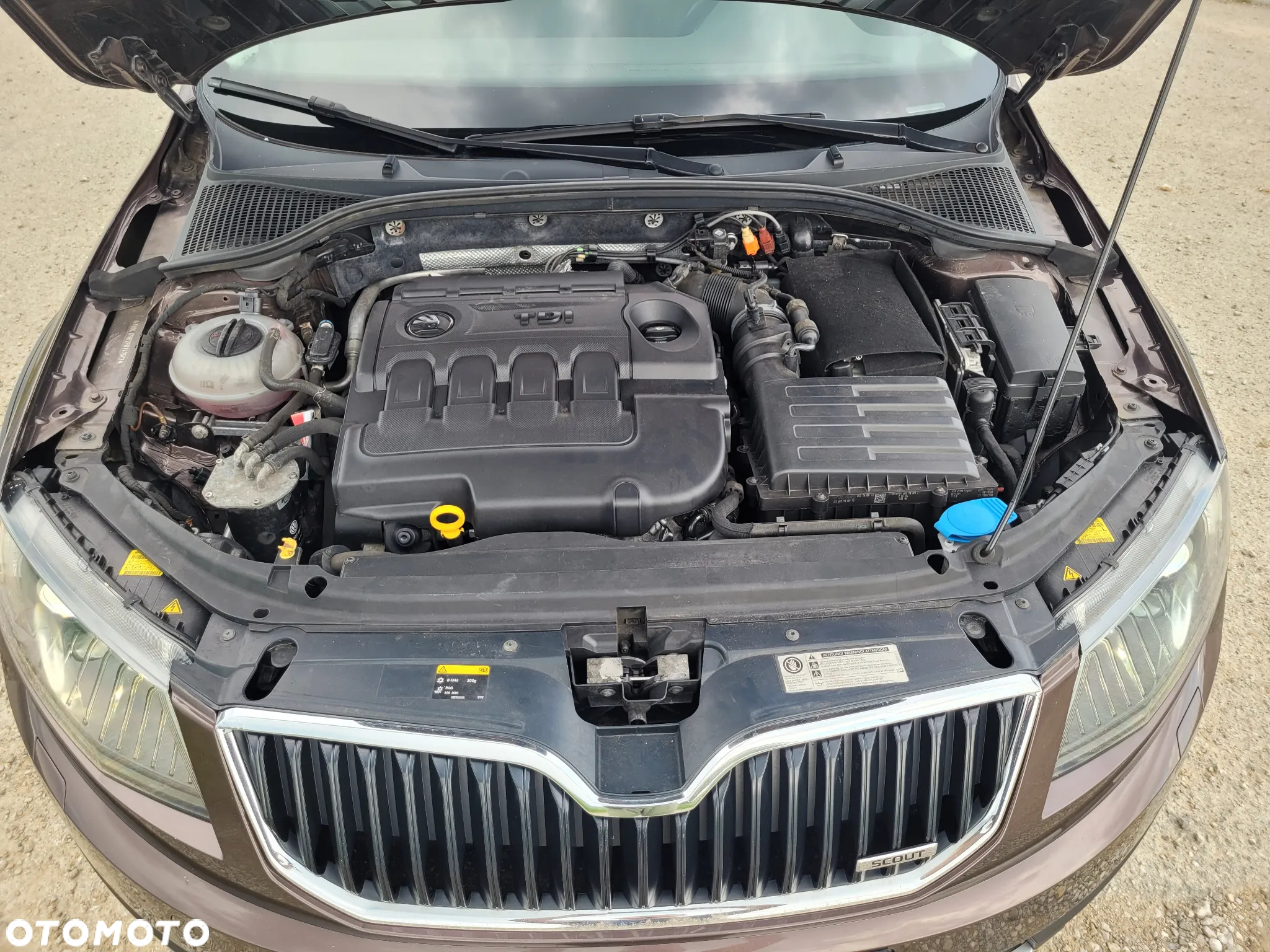 Skoda Octavia Scout 2.0 TDI 4x4 - 34