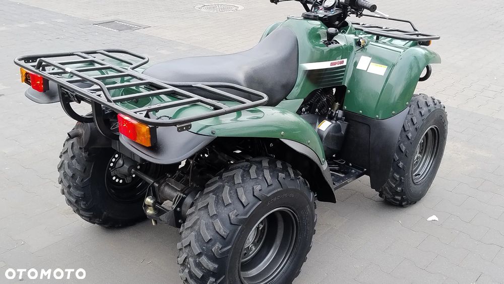 Kawasaki Brute Force - 5