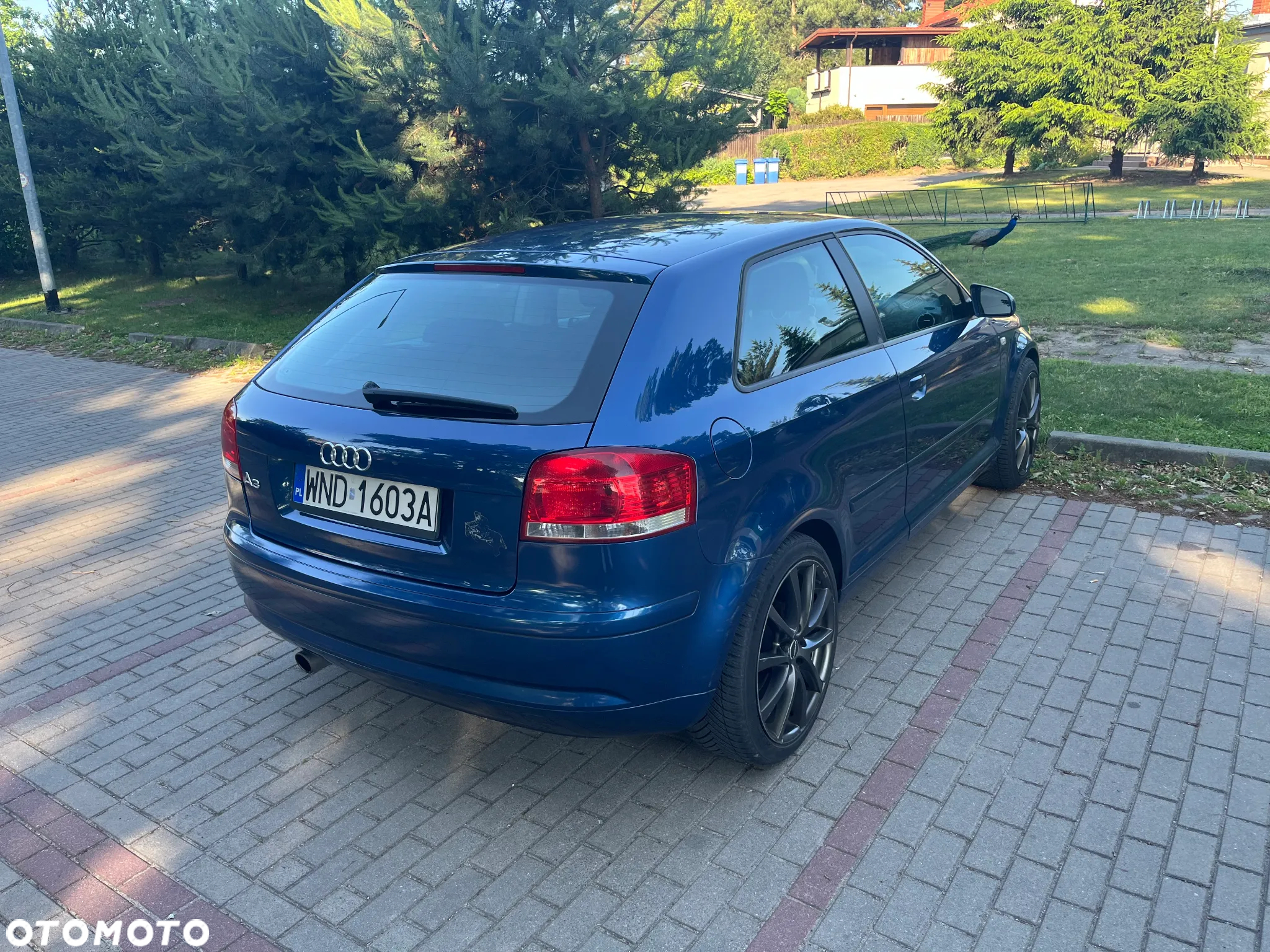 Audi A3 1.6 Ambiente - 5