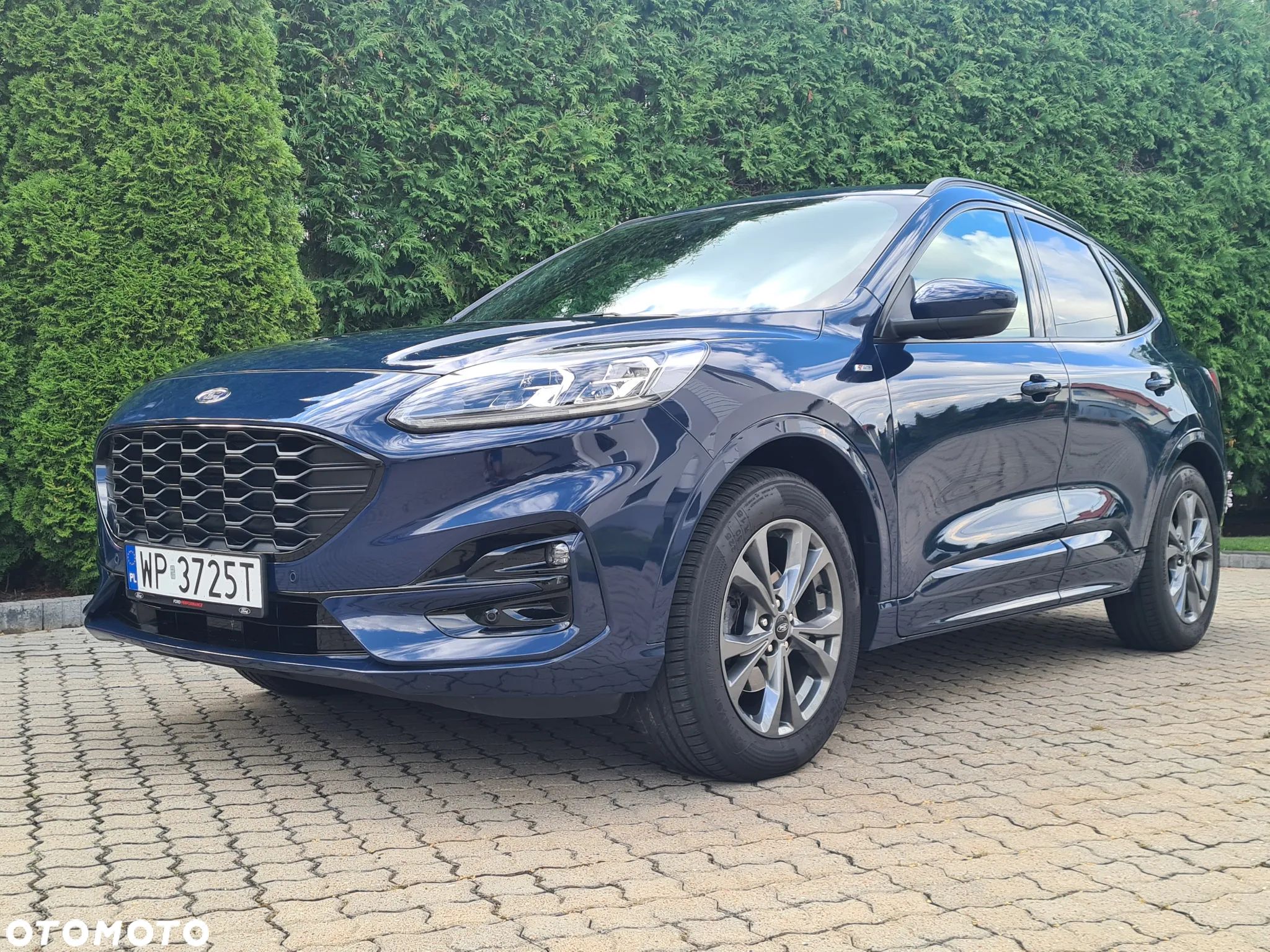 Ford Kuga 2.0 EcoBlue 4x4 ST-LINE X - 1