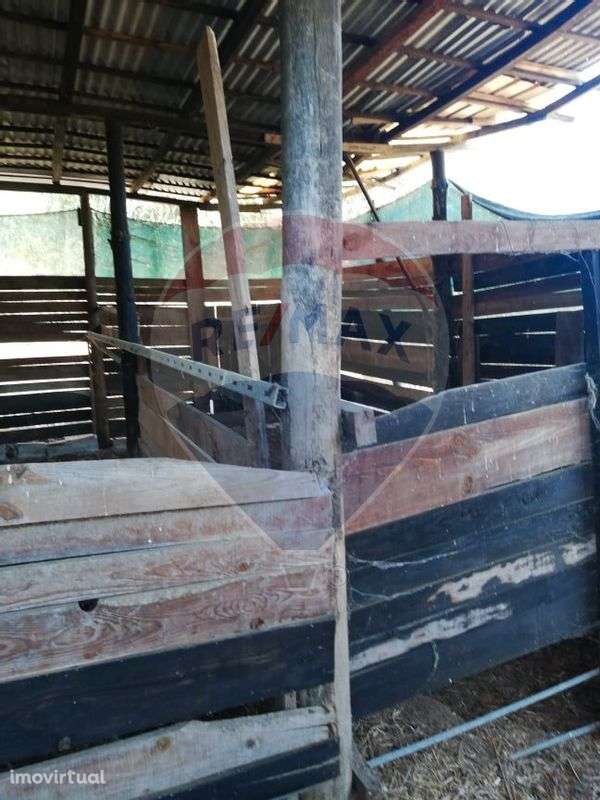 Moradia T3 para venda - Grande imagem: 5/15