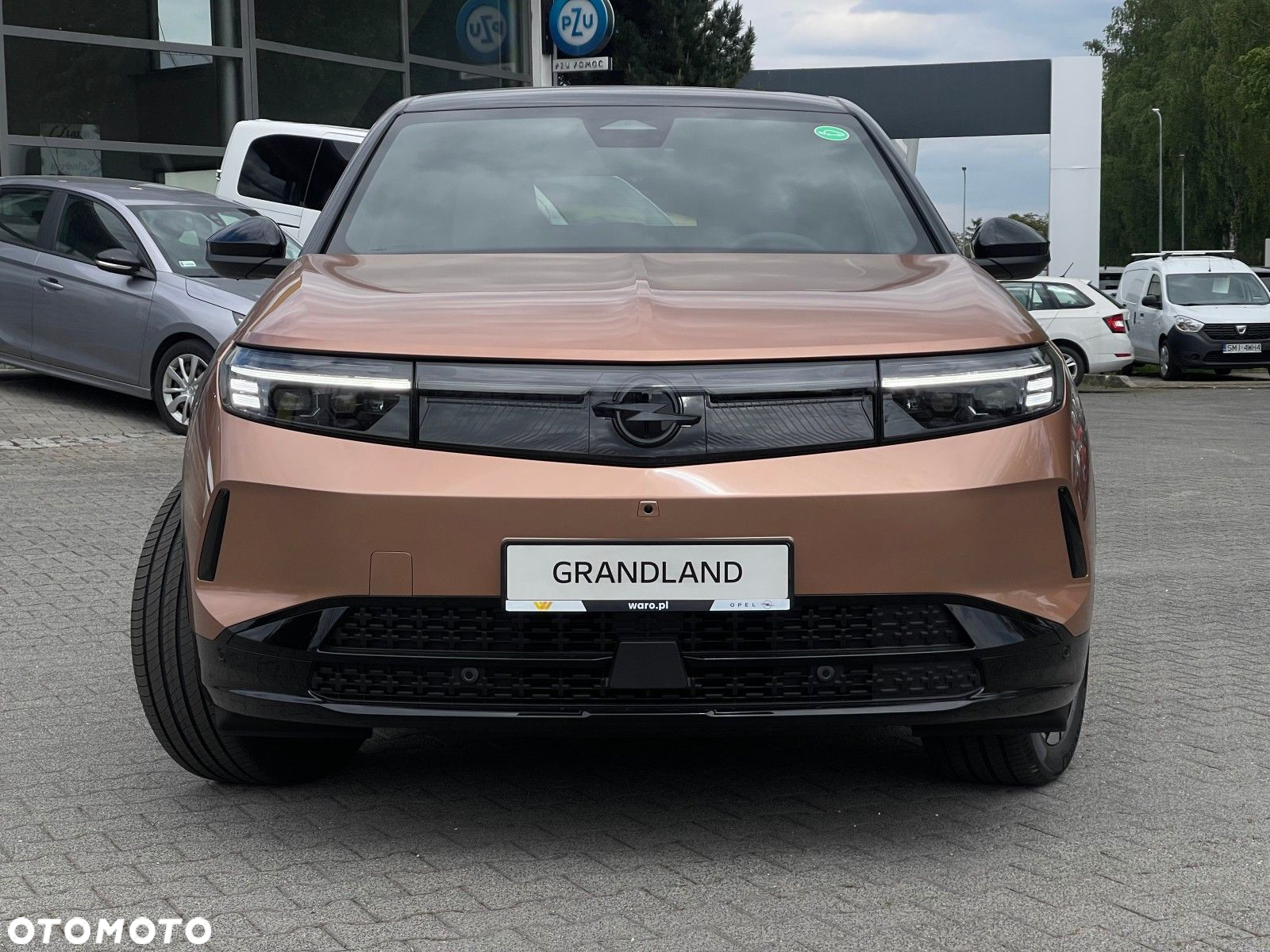 Opel Grandland - 3
