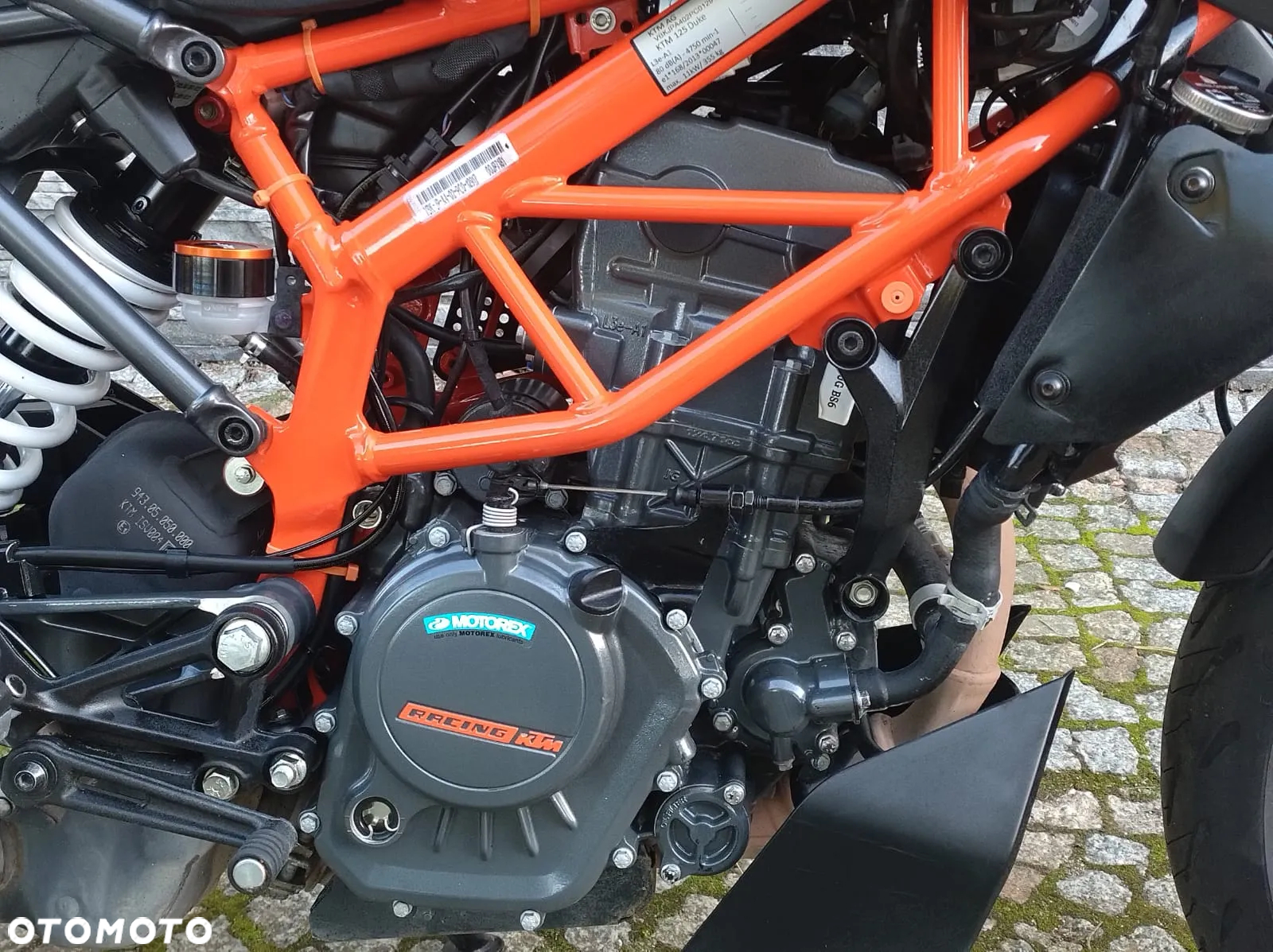 KTM Duke - 27