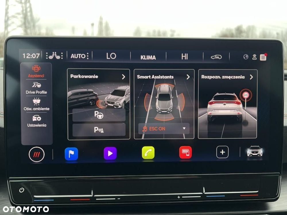 Cupra Formentor VZ 2.0 TSI 4Drive DSG - 21