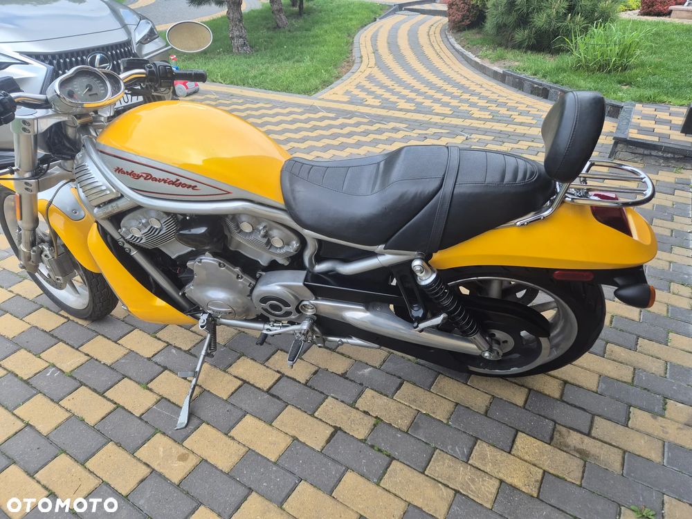 Harley-Davidson V-Rod Street Rod - 7