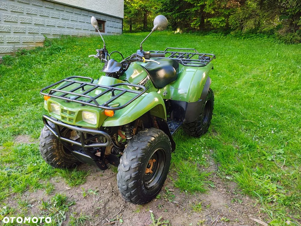 Kawasaki Brute Force - 3