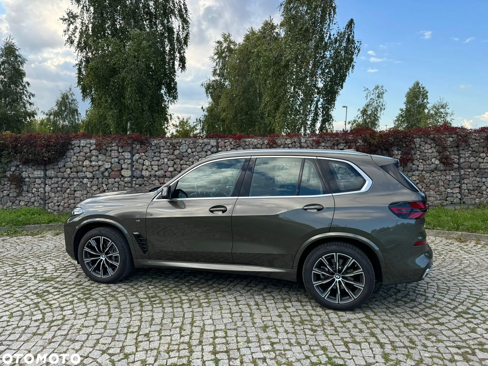 BMW X5 xDrive30d - 10