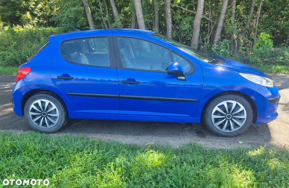 Peugeot 207 - 5