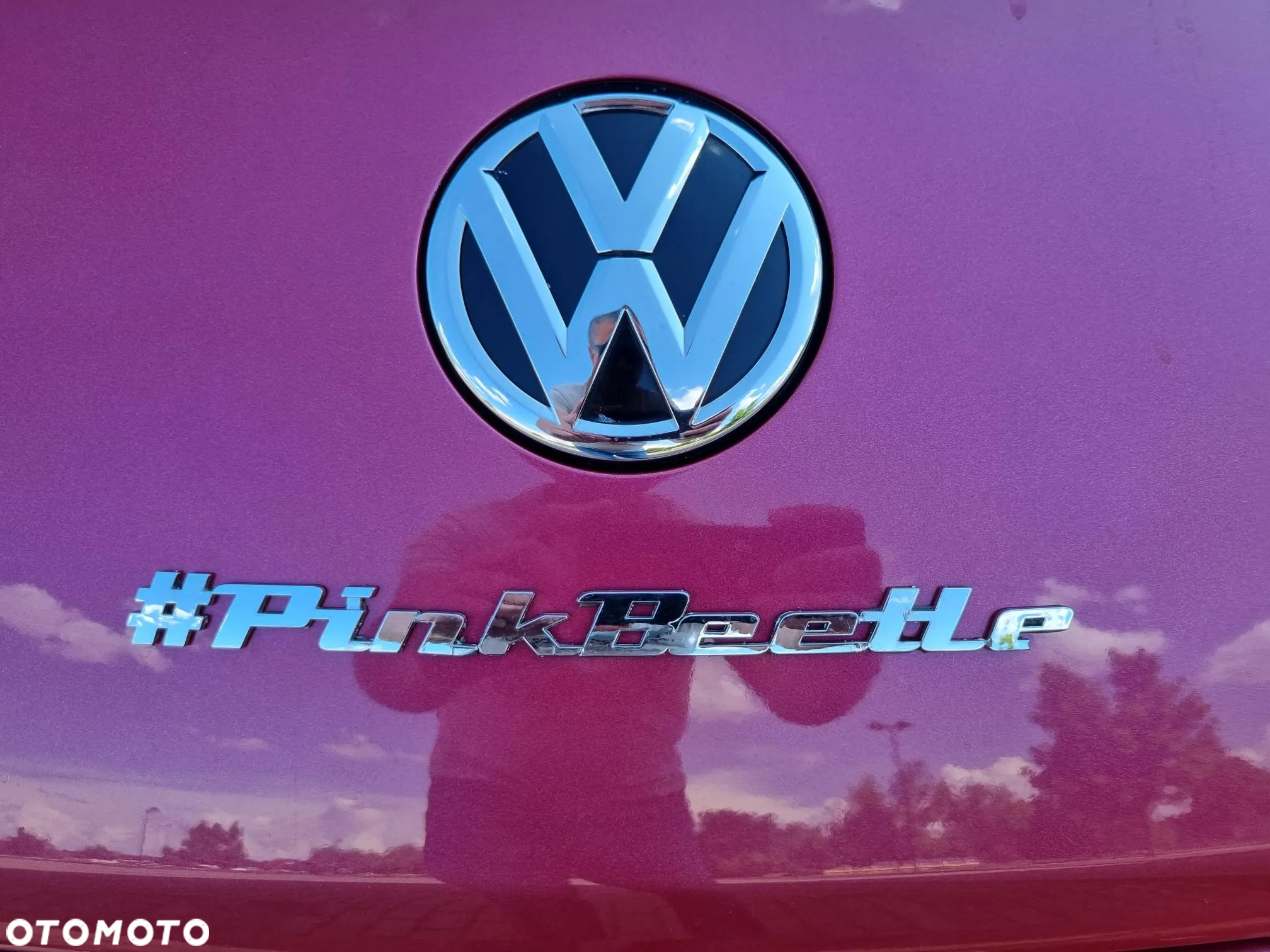 Volkswagen Beetle - 3