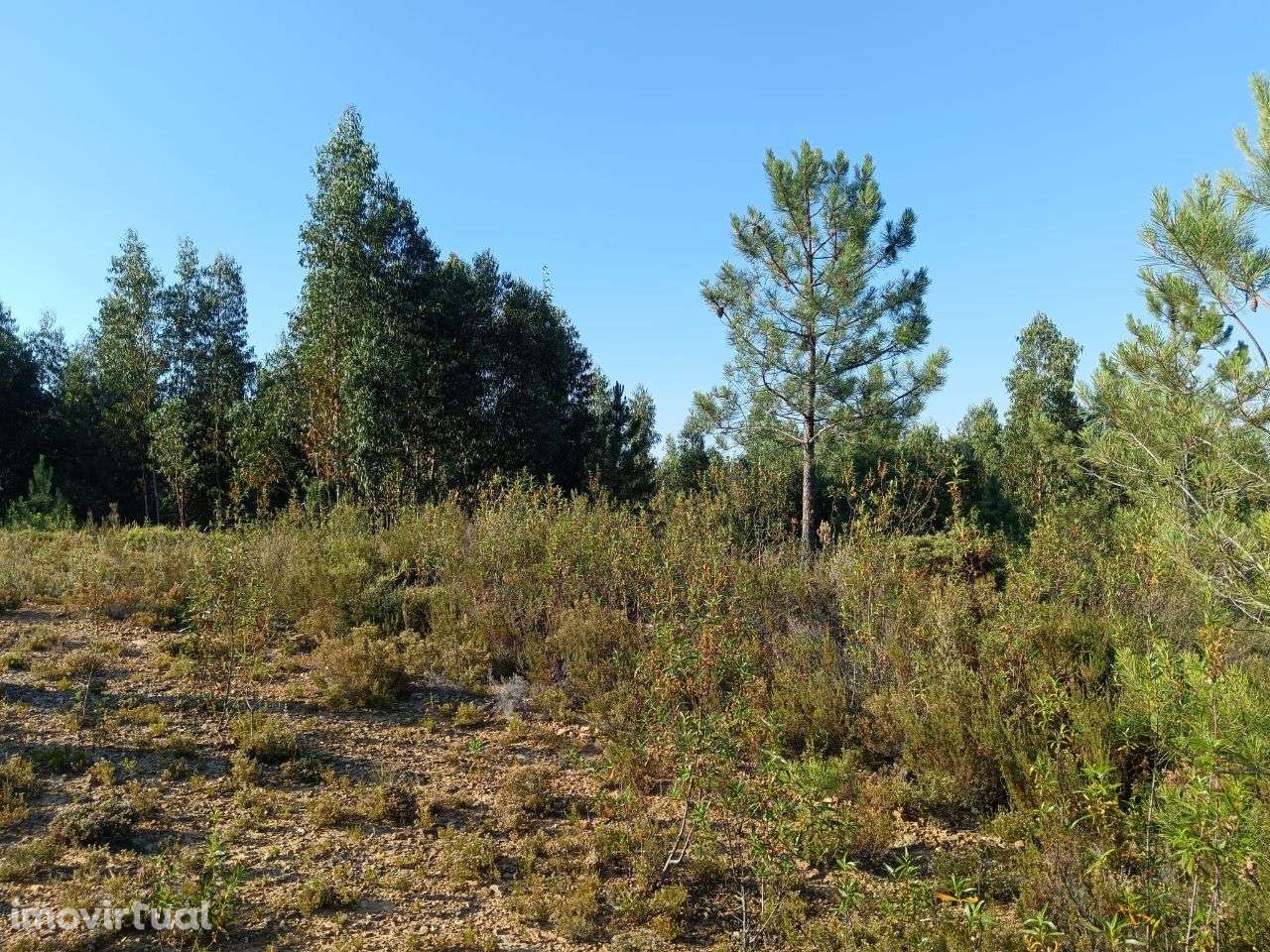 Terreno - Grande imagem: 5/8