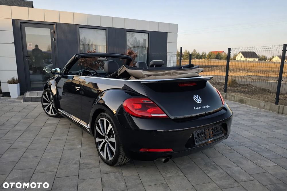 Volkswagen Beetle - 7