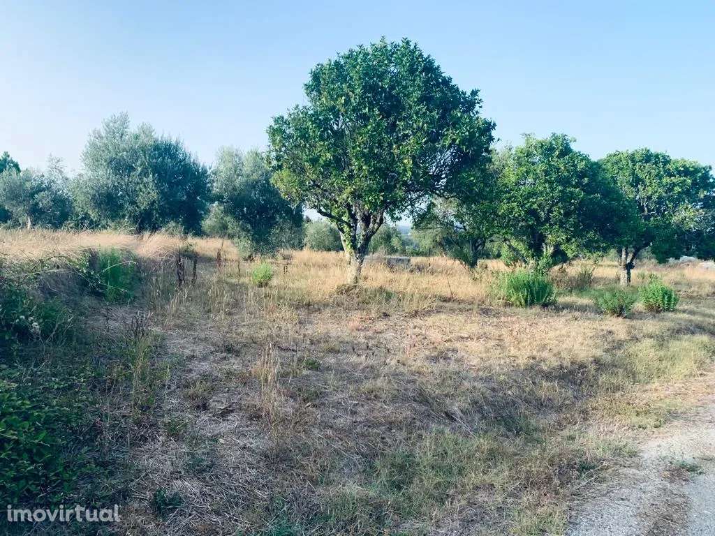 Terreno Urbano II Pombal - Grande imagem: 5/16