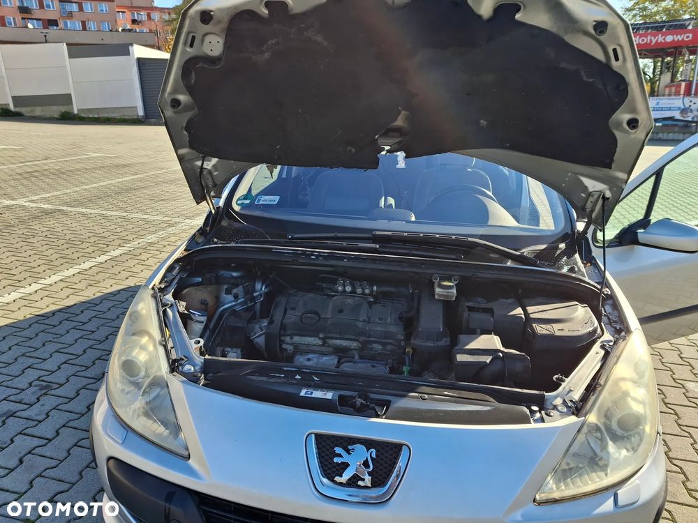 Peugeot 307 - 24