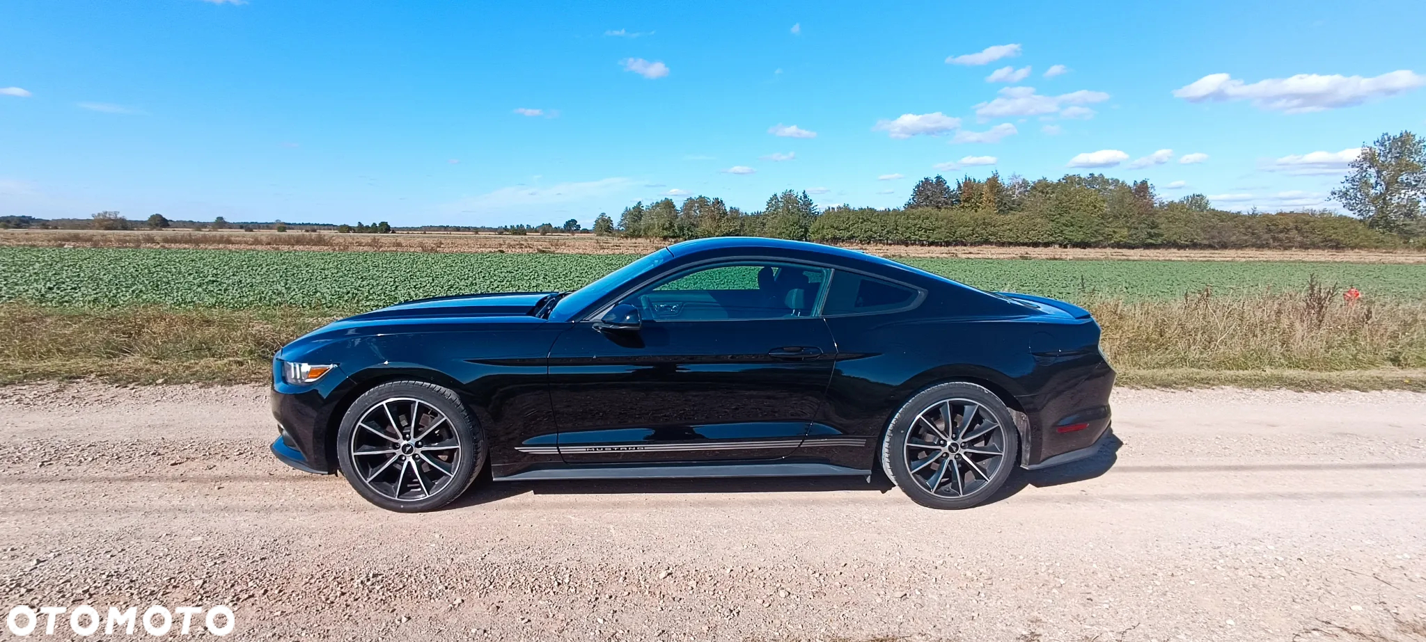 Ford Mustang 2.3 Eco Boost - 3