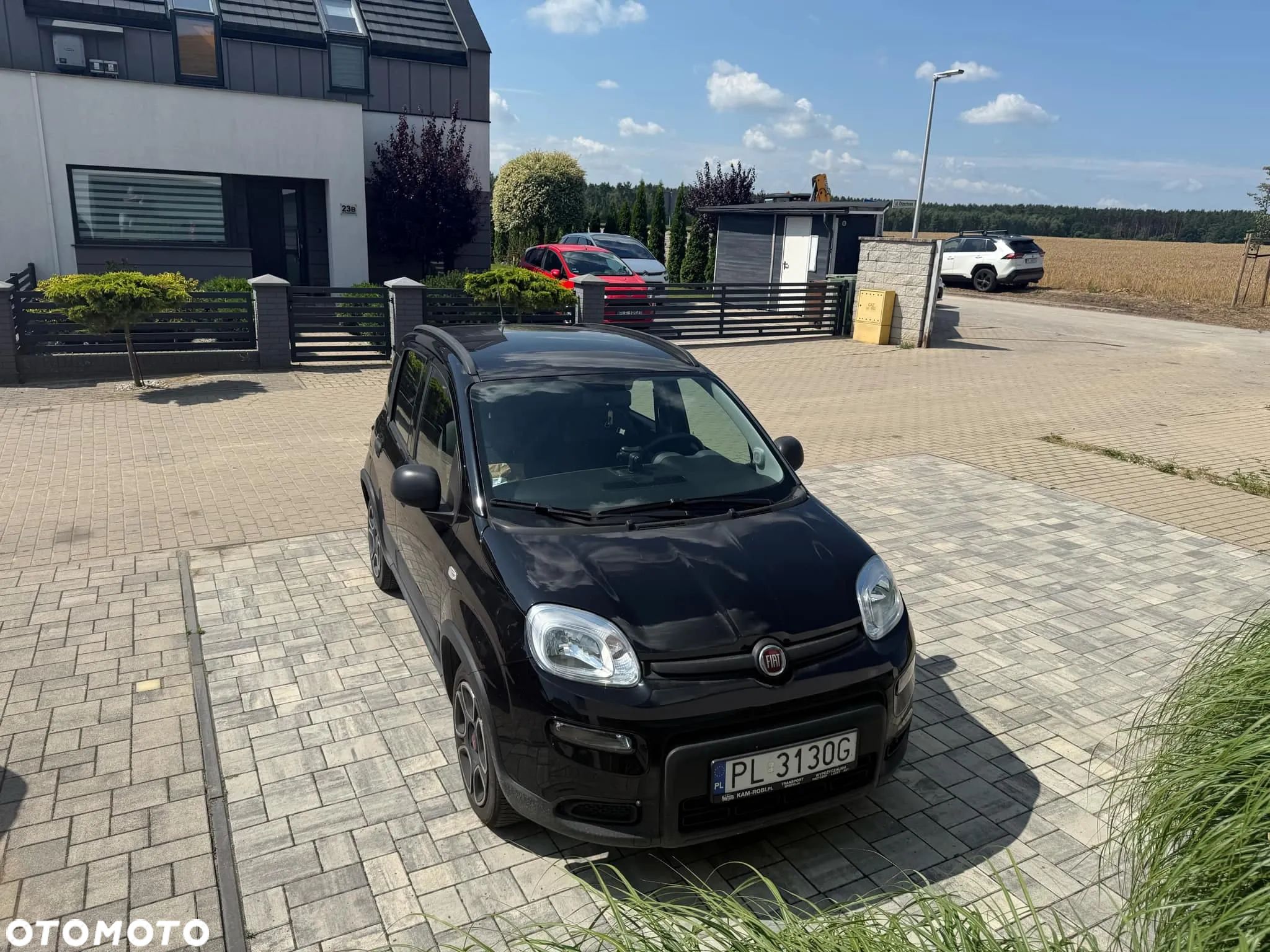 Fiat Panda - 1