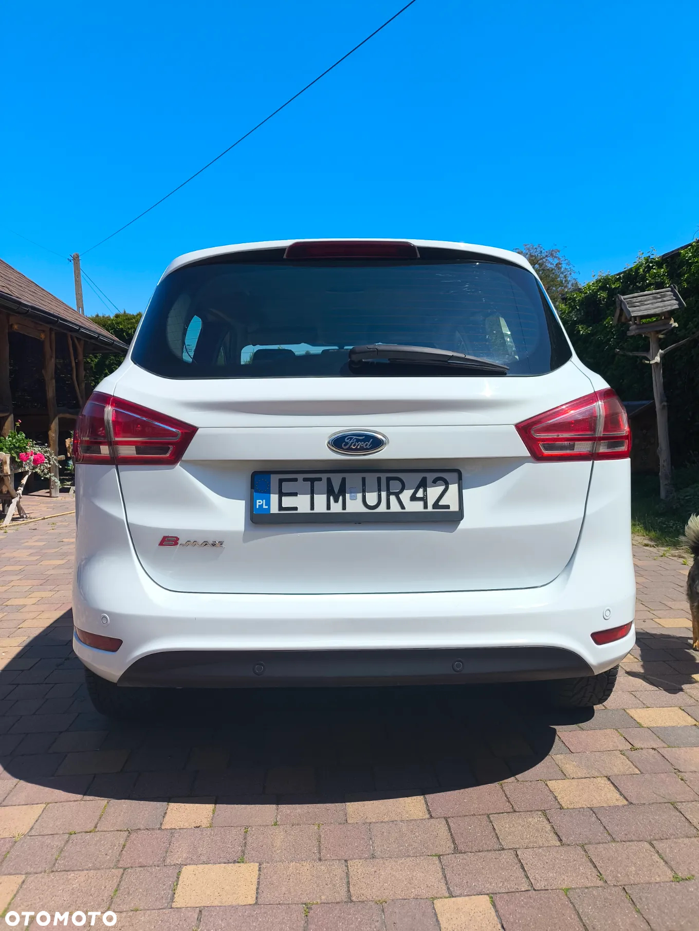Ford B-MAX 1.4 Trend - 11