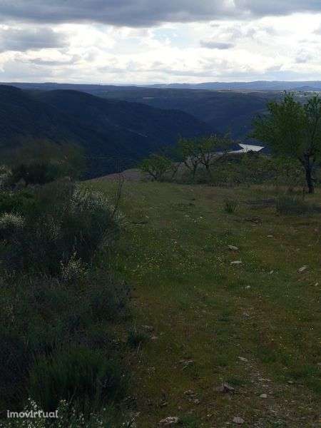 Terreno rústico em Moncorvo - Grande imagem: 4/5