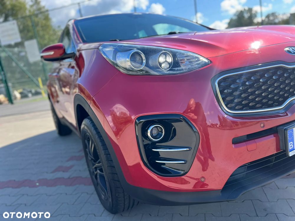 Kia Sportage - 19