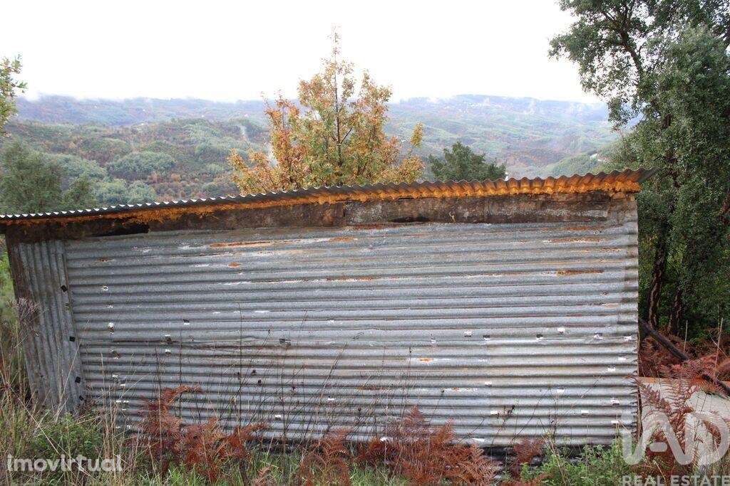Terreno Agrícola em Sandomil - Grande imagem: 3/7
