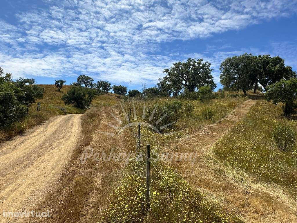 Prédio Rústico em São Francisco da Serra - Grande imagem: 3/28