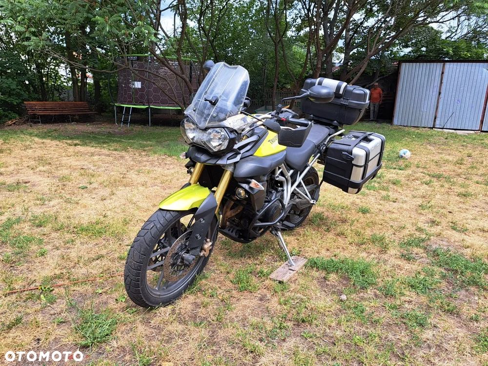 Triumph Tiger - 13