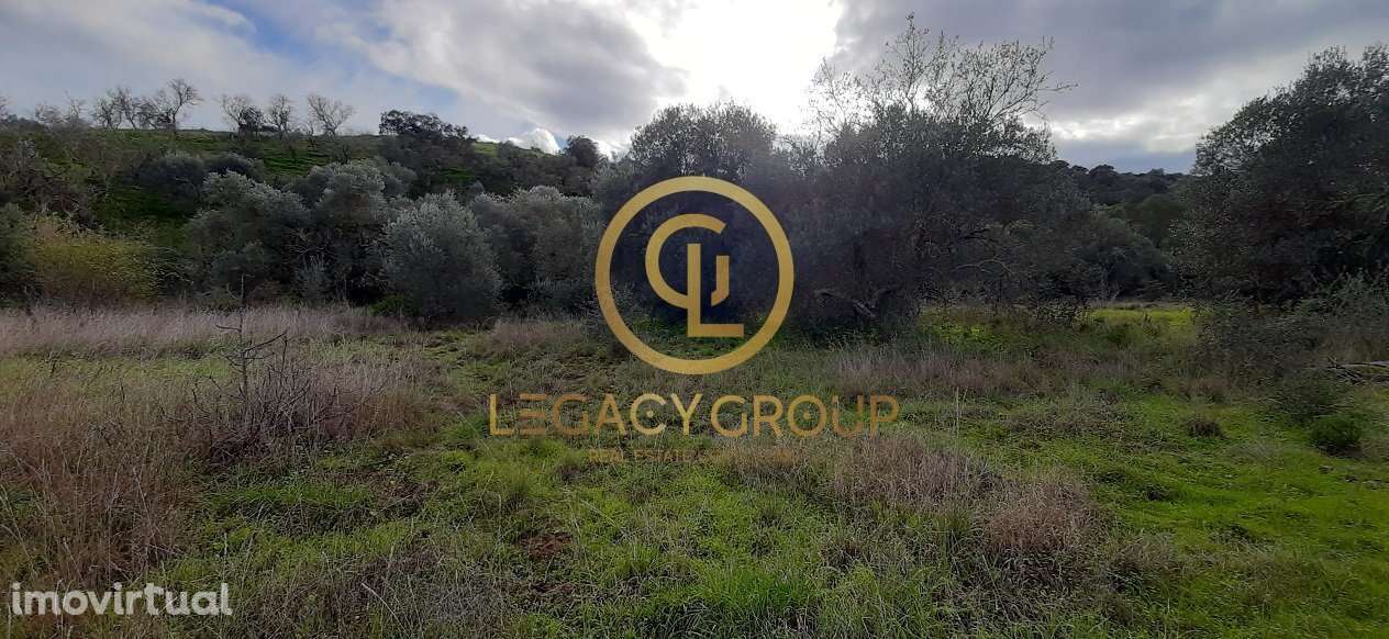 Terreno junto ao Guadiana - Alcoutim - Grande imagem: 5/10