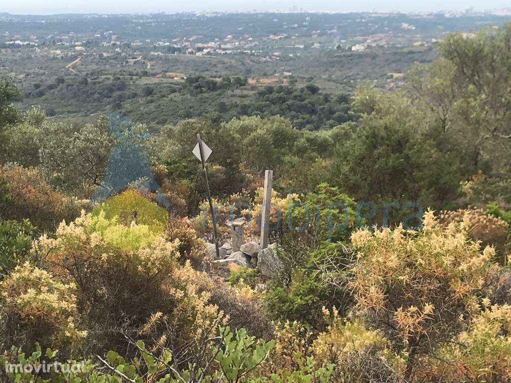 TERRENO RÚSTICO 4.980m2 EXCELENTE VISTA PANORÂMICA - Grande imagem: 2/14