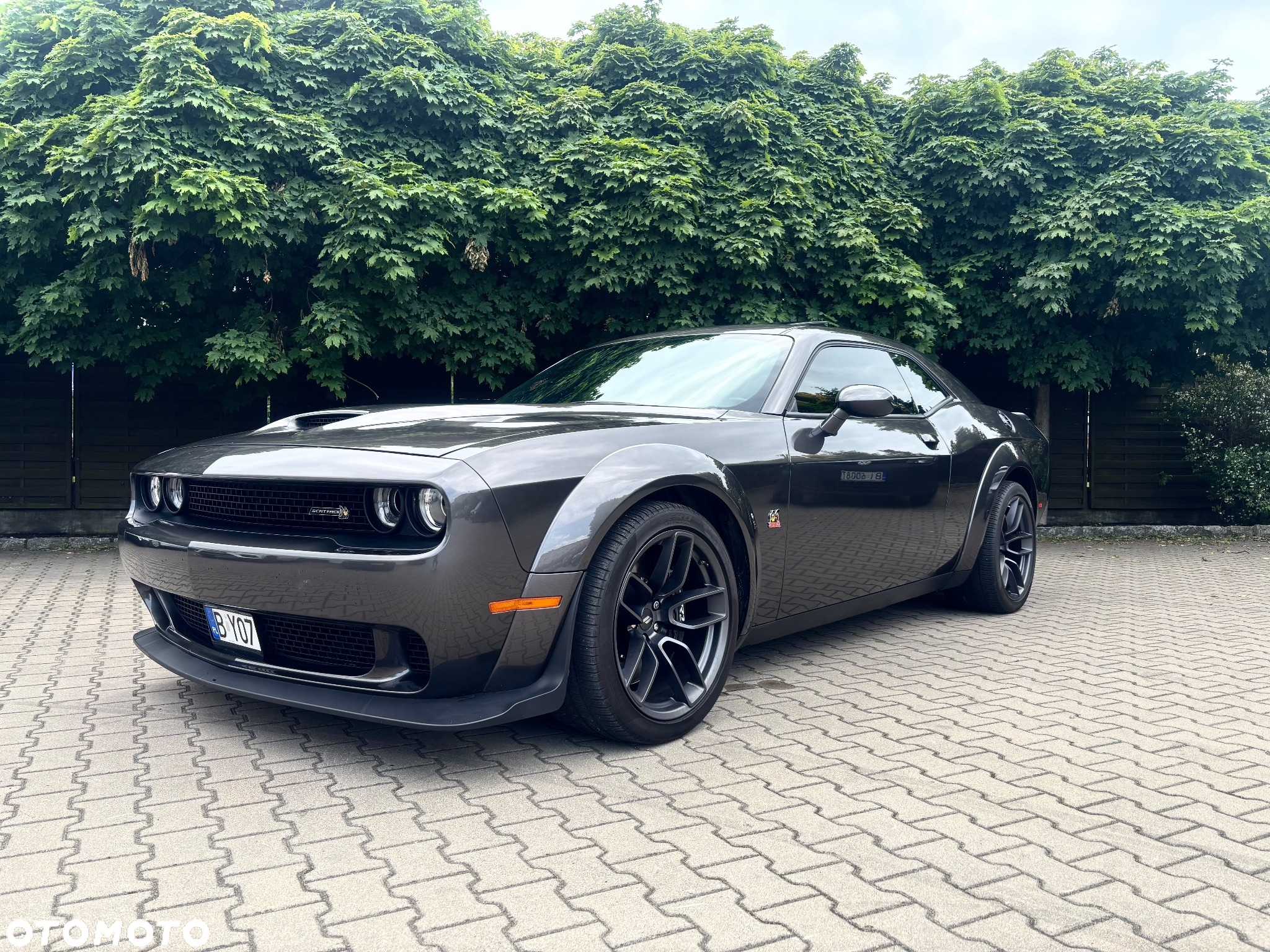 Dodge Challenger 6.4 Scat PackWidebody - 17