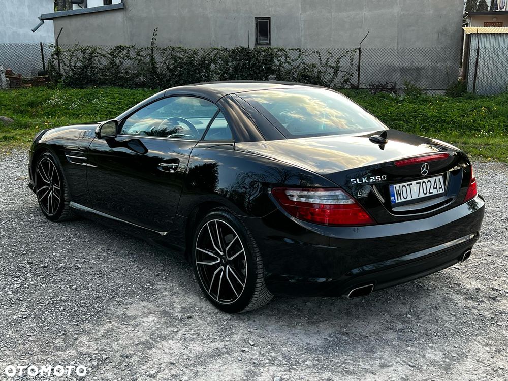 Mercedes-Benz SLK 250 (BlueEFFICIENCY) 7G-TRONIC - 4