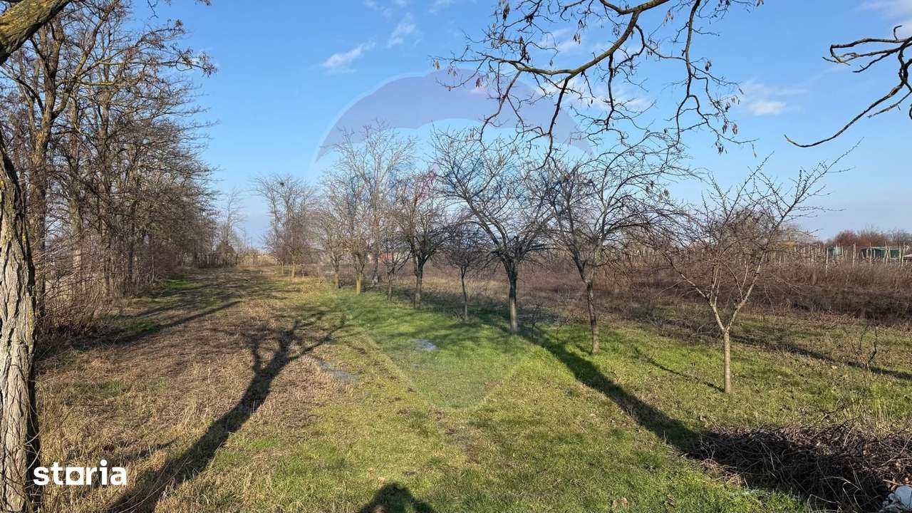 Teren 2,300mp Petresti / Strada Lacramioarei - Imagine principală: 3/6