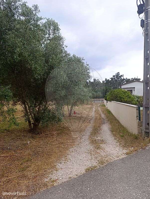 Terreno  para venda - Grande imagem: 2/12