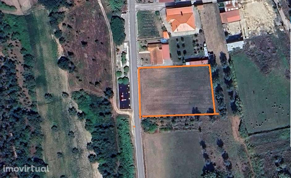 Terreno de 3000m² em Coimbra com acesso pavimentado - Grande imagem: 3/3