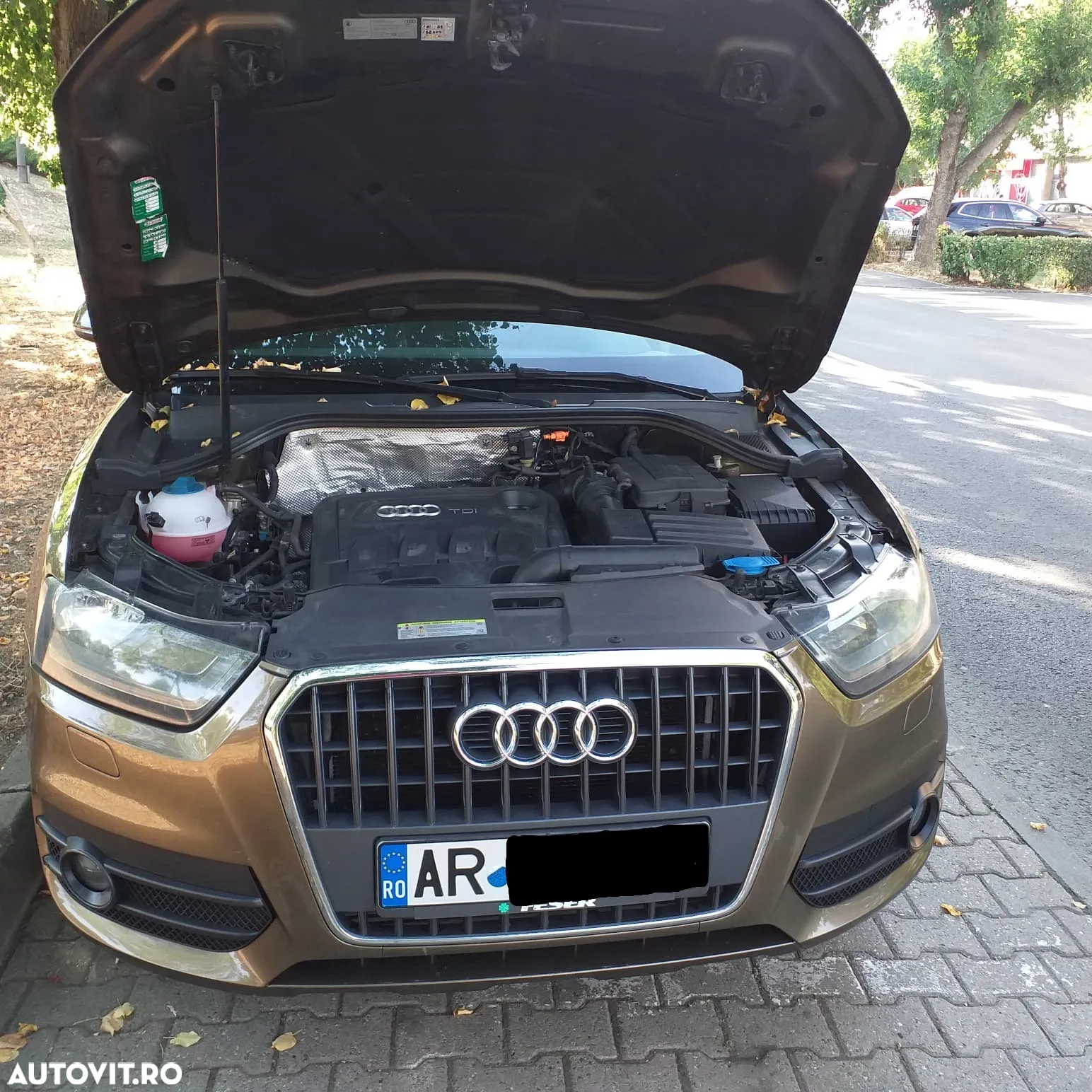Audi Q3 - 29