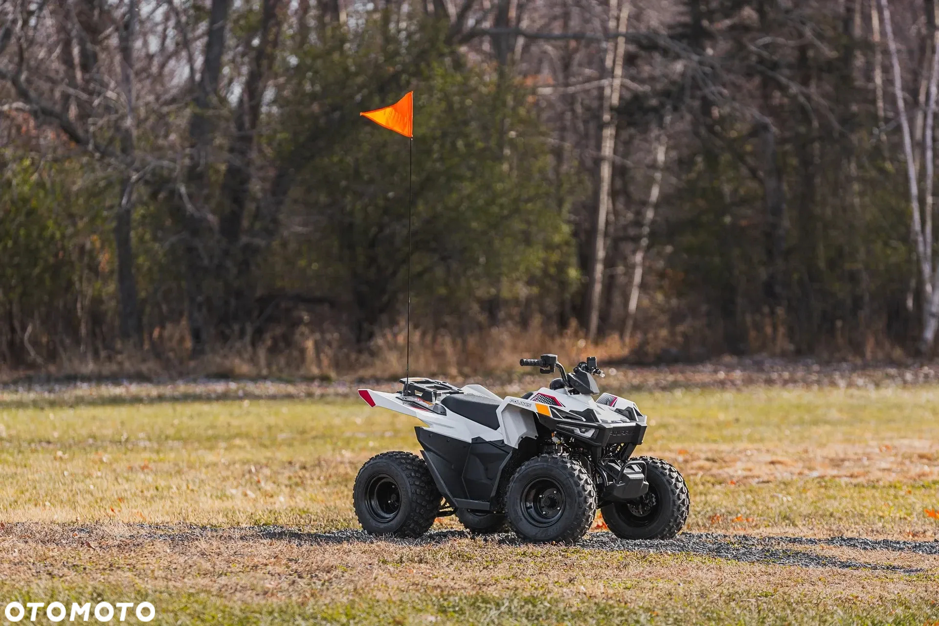 Polaris Outlaw - 6