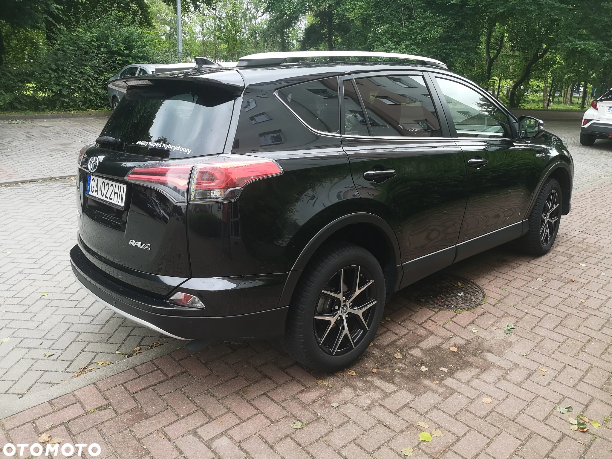 Toyota RAV4 Hybrid Platinum 4x2 - 5